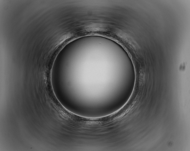 X0000098101305200804041234