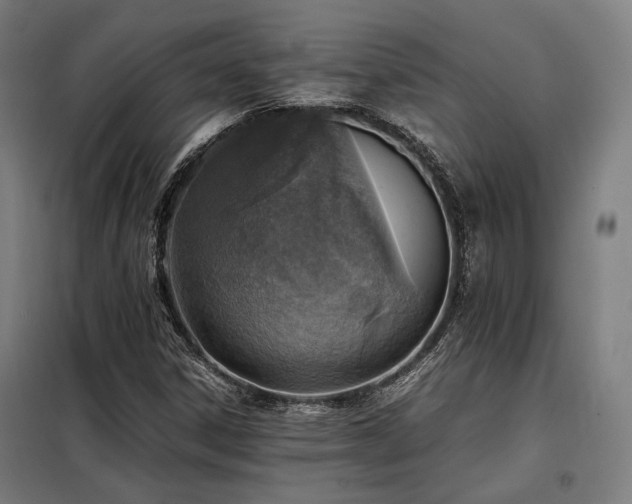 X0000098101306200804041234
