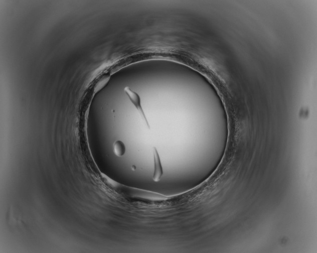 X0000098101307200804041234