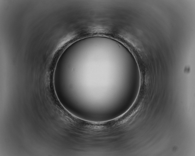 X0000098101309200804041234