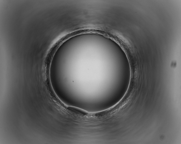 X0000098101310200804041234