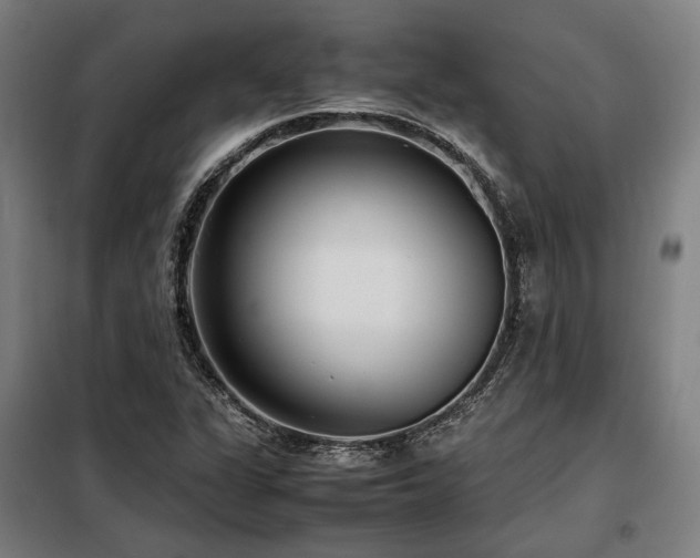X0000098101311200804041234