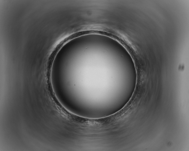 X0000098101312200804041234