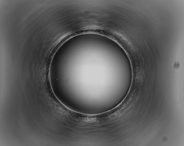X0000098101313200804041234