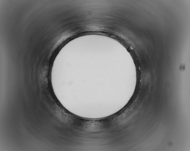 X0000098101314200804041234