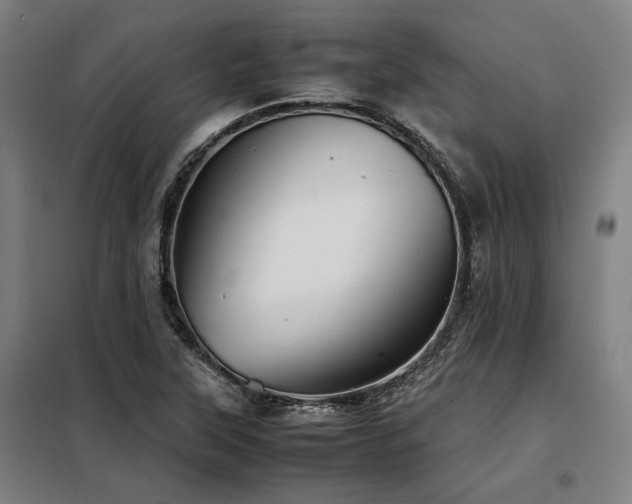 X0000098101315200804041234