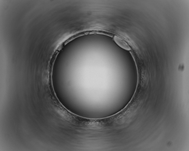 X0000098101316200804041234