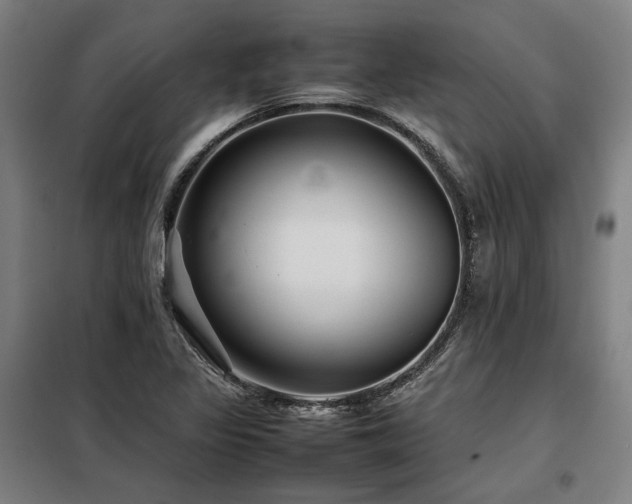 X0000098101317200804041234