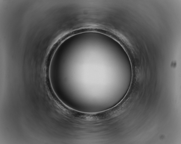 X0000098101318200804041234