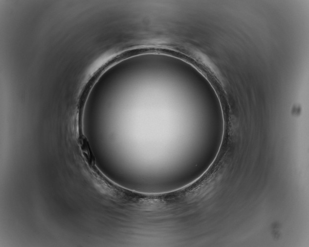 X0000098101320200804041235