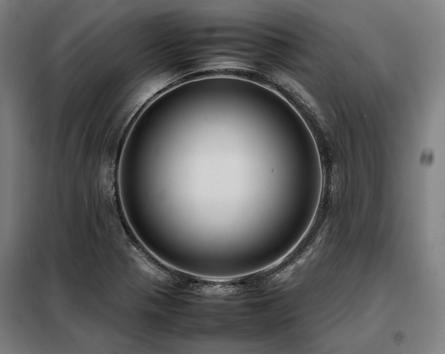 X0000098101321200804041235