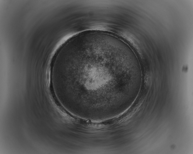 X0000098101323200804041235