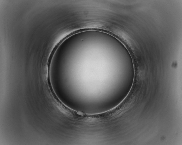 X0000098101324200804041235