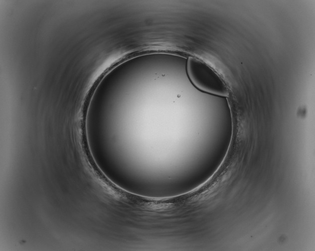 X0000098101325200804041235