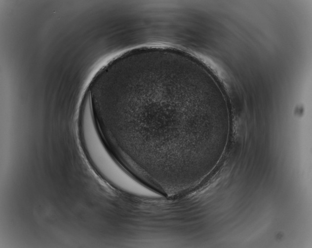 X0000098101327200804041235