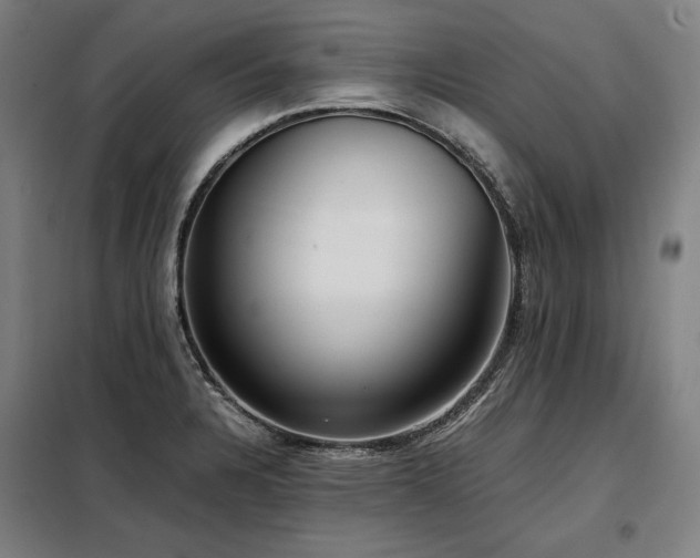 X0000098101328200804041235