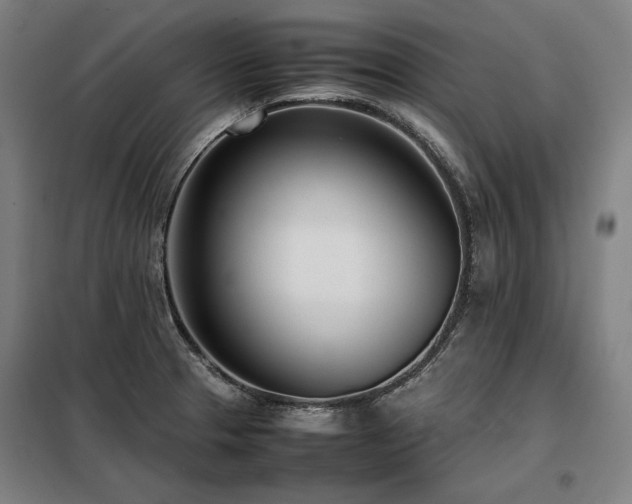X0000098101329200804041235