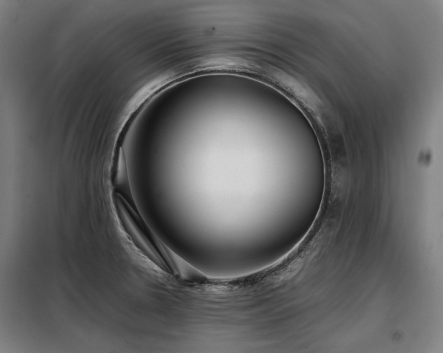 X0000098101330200804041235