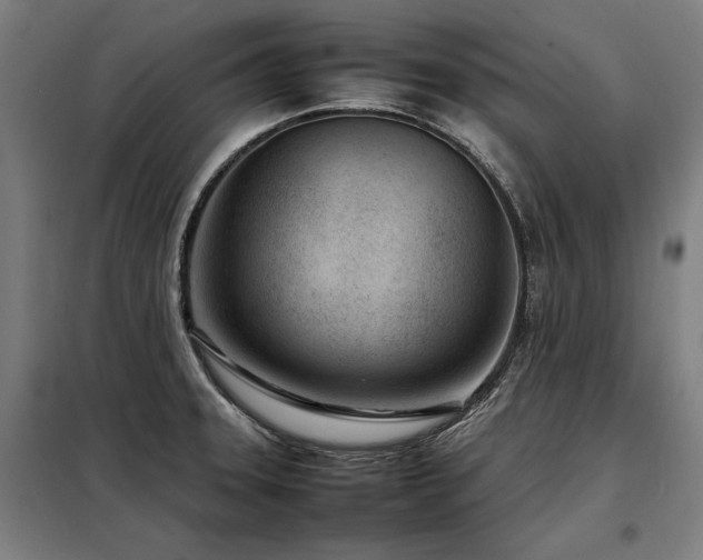 X0000098101331200804041235