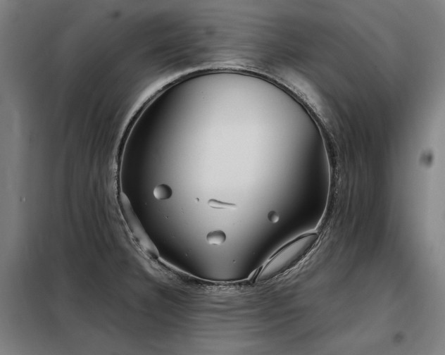 X0000098101332200804041235