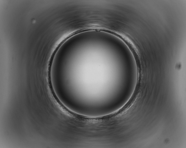 X0000098101333200804041235