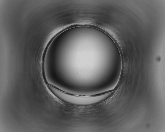 X0000098101335200804041235