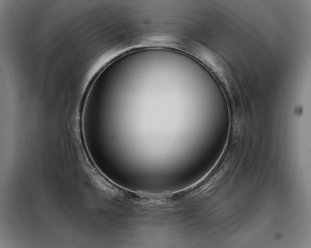 X0000098101336200804041235