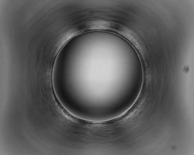 X0000098101337200804041235