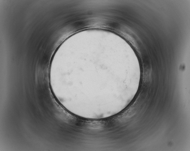 X0000098101338200804041235