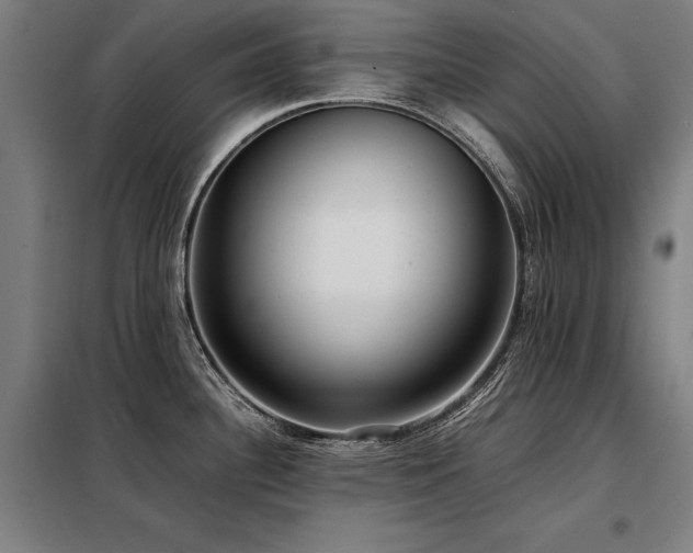 X0000098101340200804041235