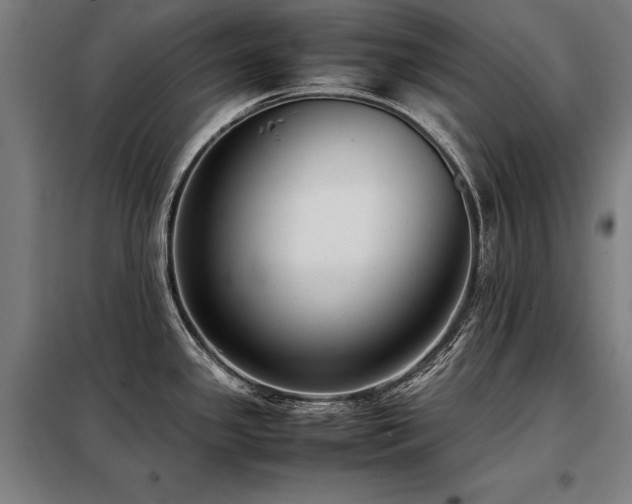 X0000098101341200804041235