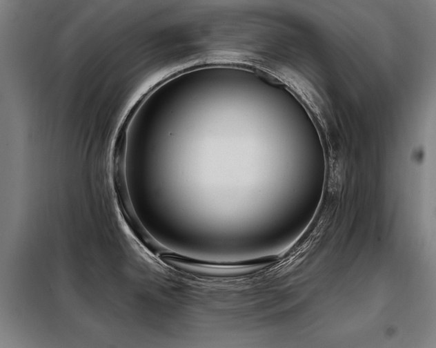 X0000098101342200804041235