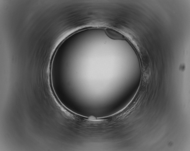 X0000098101343200804041235