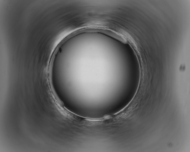 X0000098101344200804041235