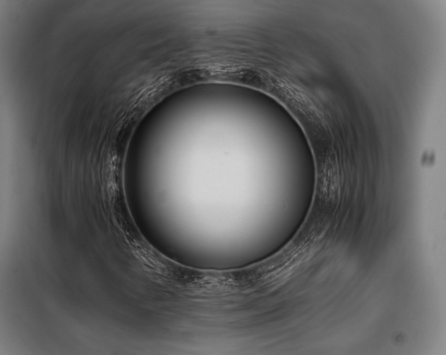 X0000098101346200804041234
