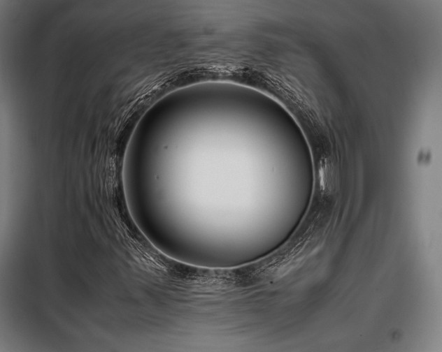 X0000098101347200804041234