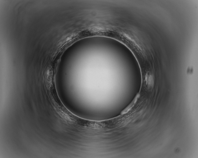 X0000098101348200804041234