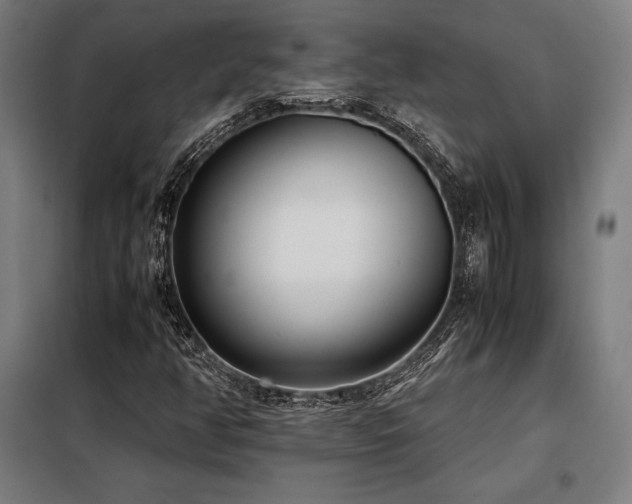 X0000098101350200804041234