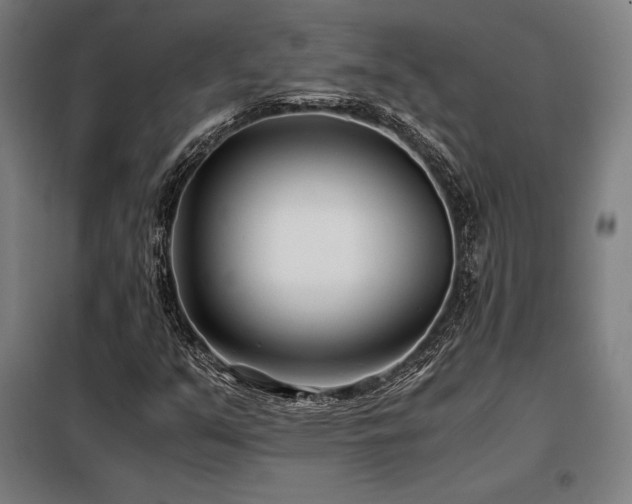 X0000098101351200804041234