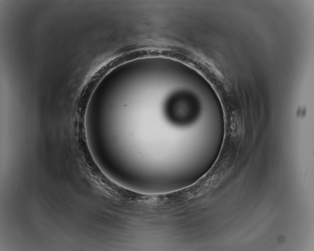 X0000098101352200804041234