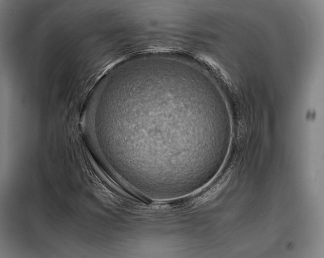 X0000098101353200804041234