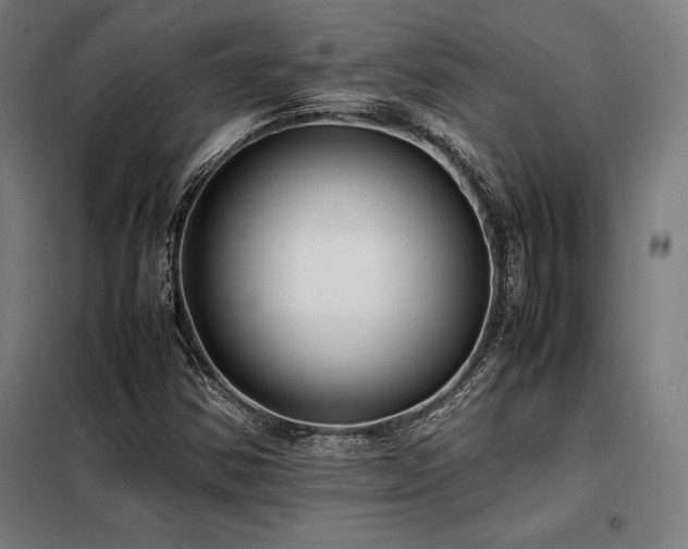 X0000098101354200804041234