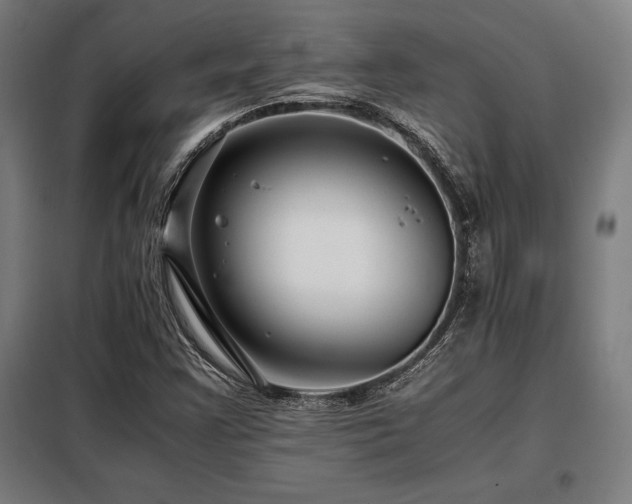 X0000098101355200804041234