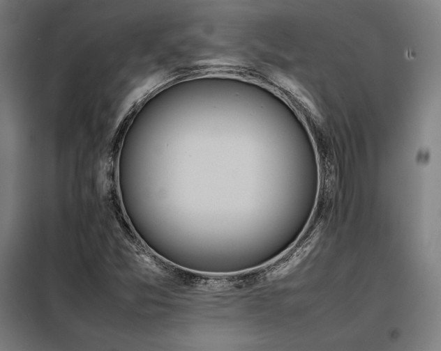 X0000098101357200804041234