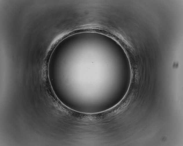 X0000098101358200804041234