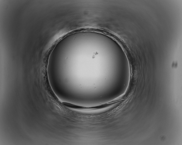 X0000098101359200804041234