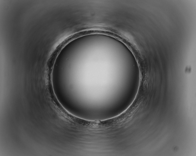 X0000098101360200804041234