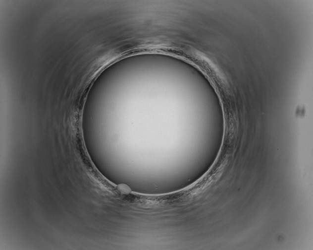 X0000098101361200804041234