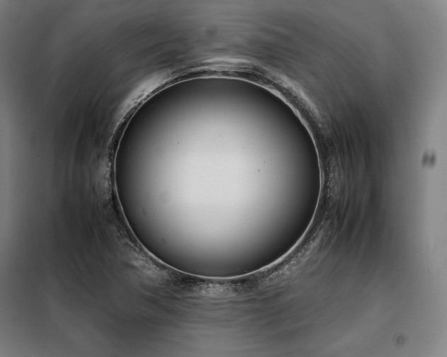 X0000098101362200804041234