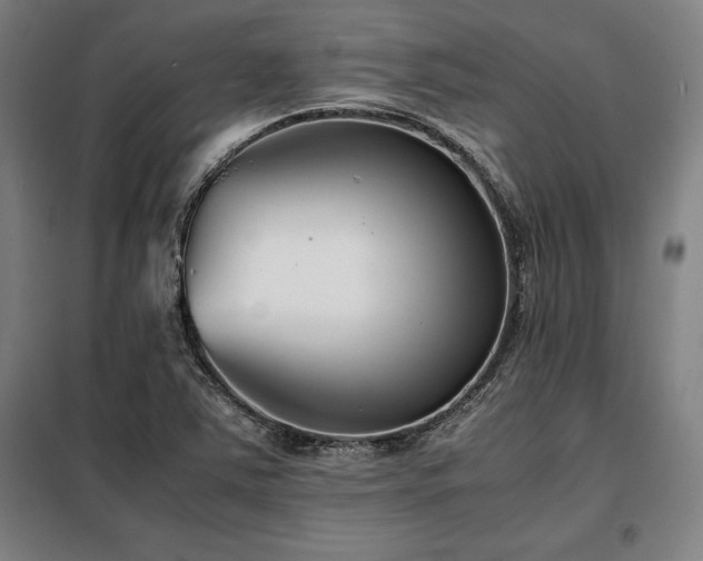 X0000098101363200804041234
